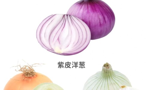 主任医师吴茱萸的功效与作用网 :分享吴茱萸的药效和作用-吴茱萸的功效与用法用量知识