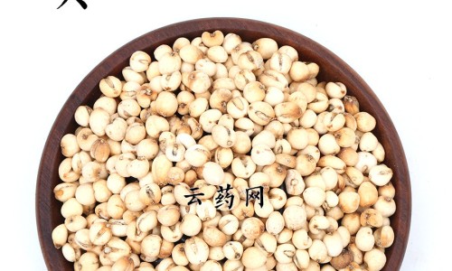 主任医师吴茱萸的功效与作用网 :分享吴茱萸的药效和作用-吴茱萸的功效与用法用量知识